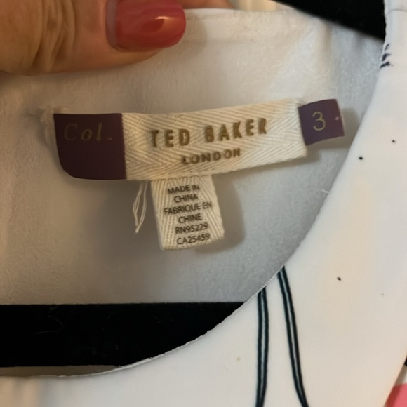 Ted Baker Tetro Cactus Print Dress Size 8 Sleeveless Succulents Plants Ted 3 - Picture 4 of 4